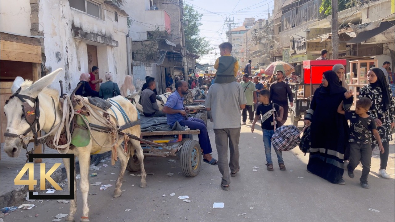 NEW VIDEO FROM GAZA 🇵🇸 | 14 Nov 2024 | Gaza Palestine | Gaza During War | فلسطين غزة