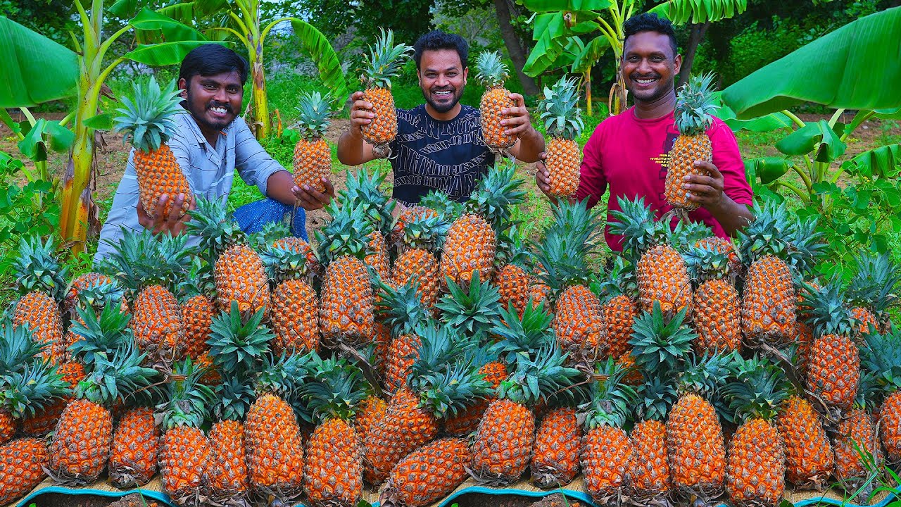 Juicy Grilled Pineapple Lollipops |  How To Make Tasty Pineapple