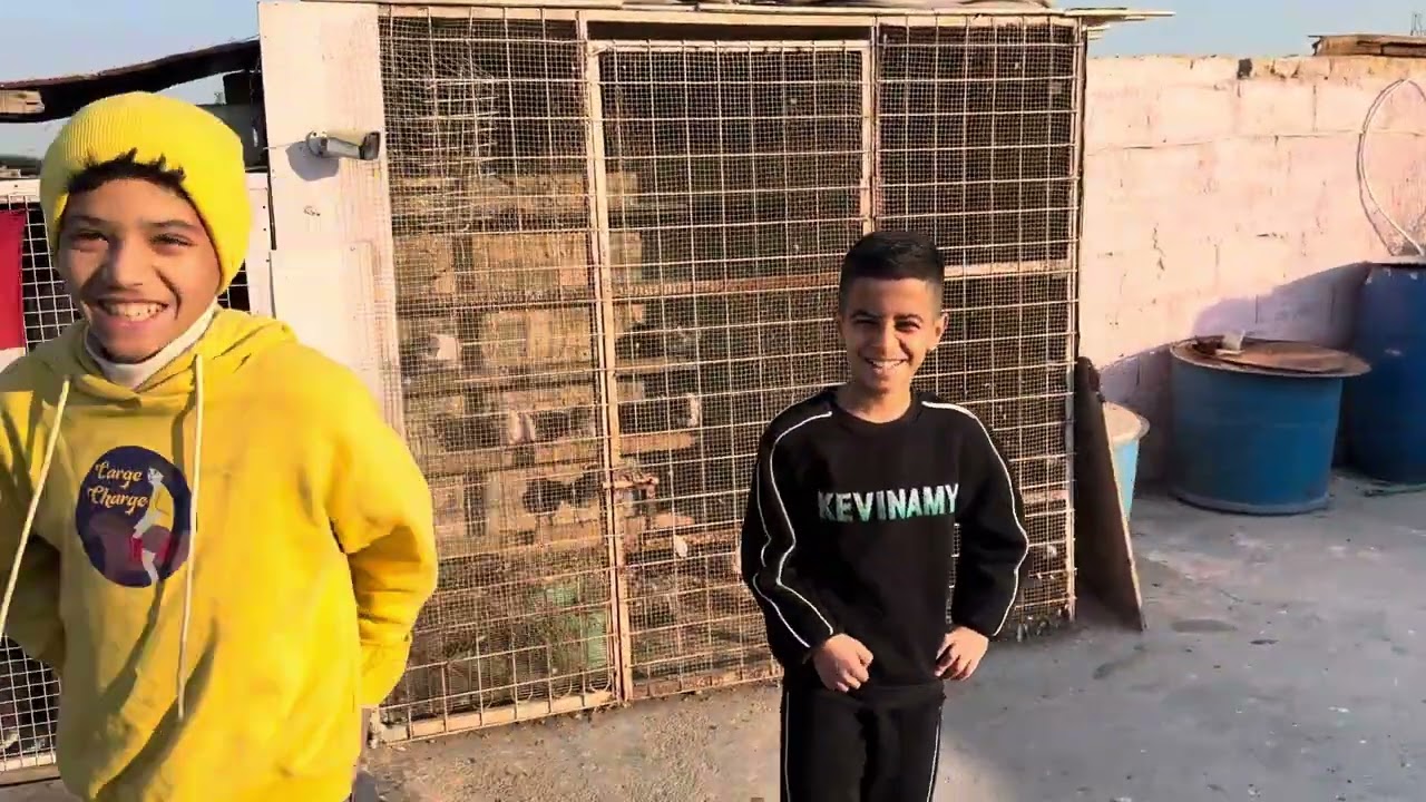 طيور محمد الراوي