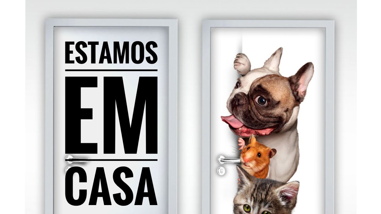 14 Ideias Criativas de Adesivo para Porta pra voc&ecirc; fazer em casa