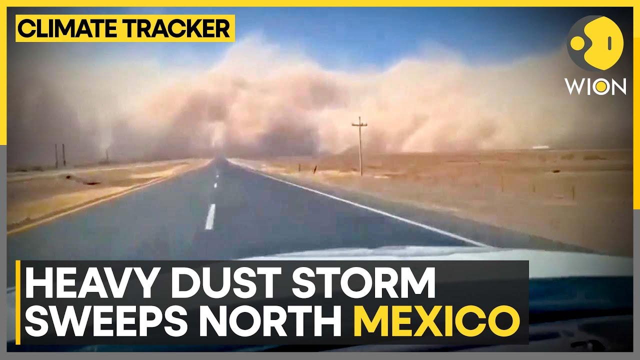 Dust Storms And Strong Winds Rage Across New Mexico | WION Climate Tracker | World News
