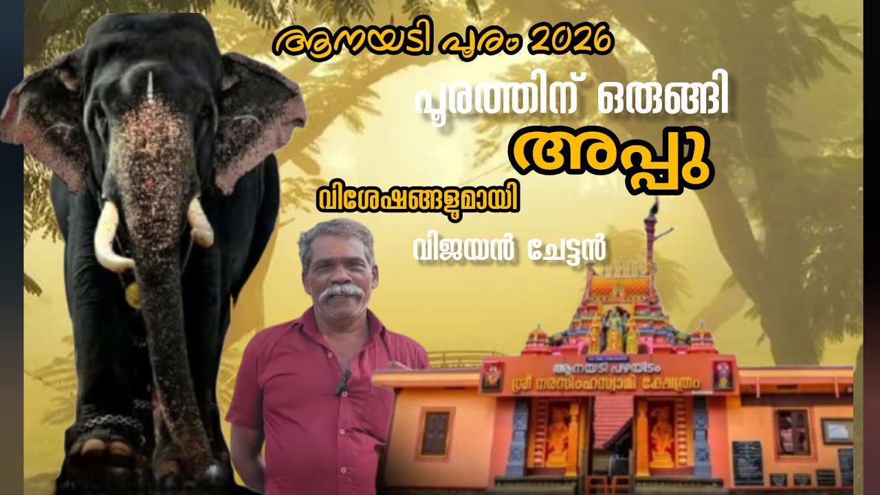 പൂരത്തിന് ഒരുങ്ങി അപ്പു |ANAYADI POORAM 2026 | അപ്പുവിന്റെ വിശേഷങ്ങളുമായി വിജയൻ ചേട്ടൻ