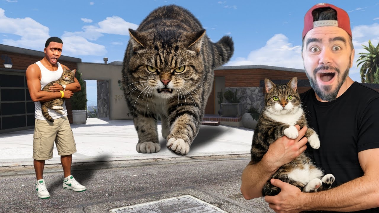 FRANKLIN YAVRU KEDILERI KAÇIRDI ANNESI GELDI - GTA 5 MODS