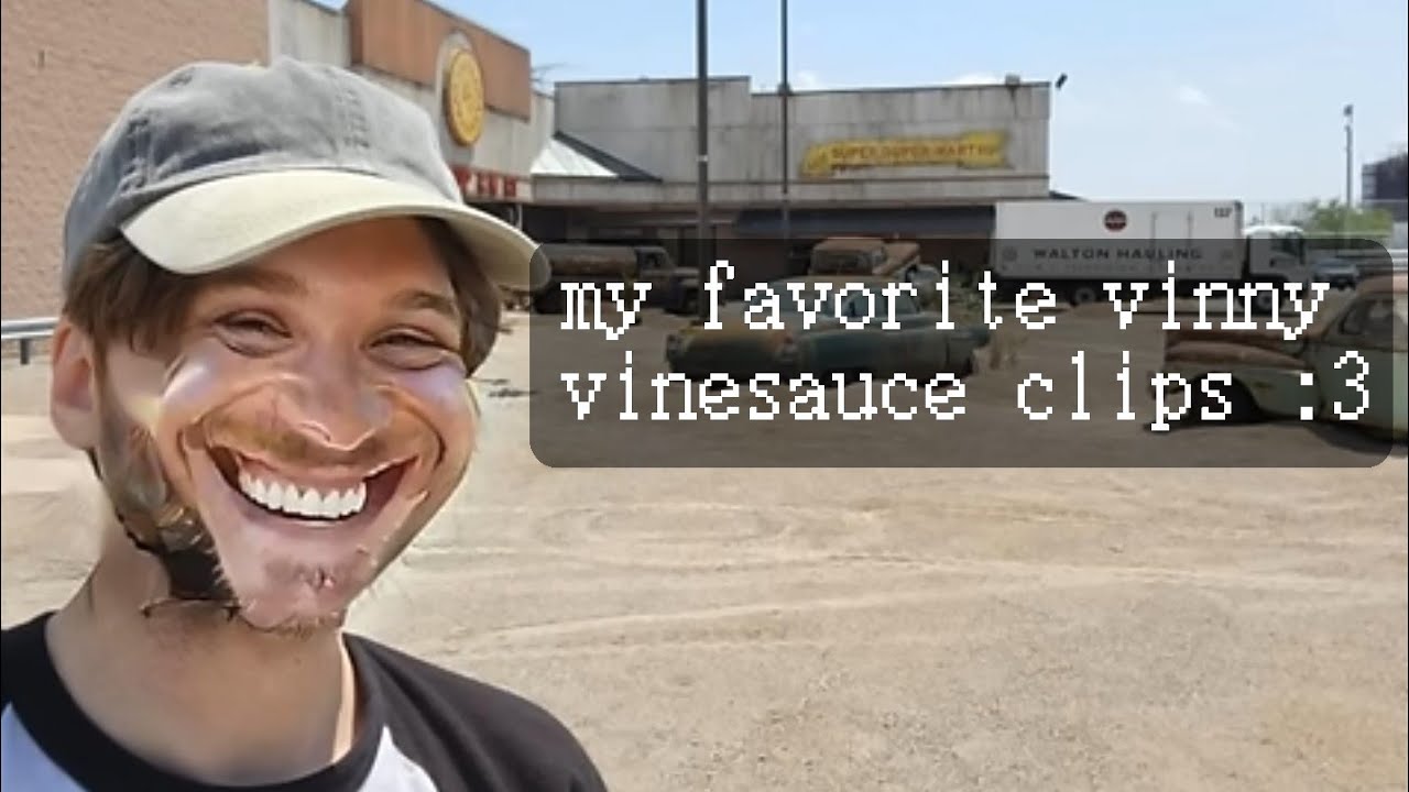 half an hour of my favorite vinesauce (vinny) clips
