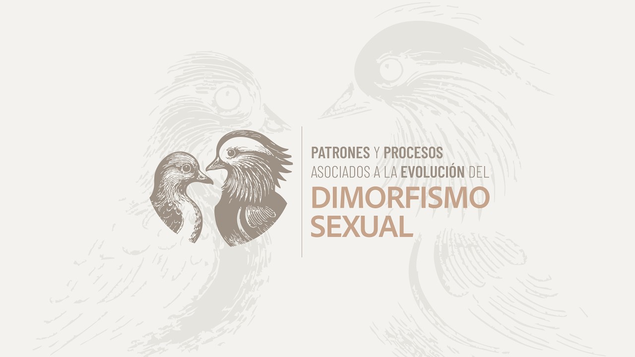 Patrones y procesos asociados a la evolución del dimorfismo sexual