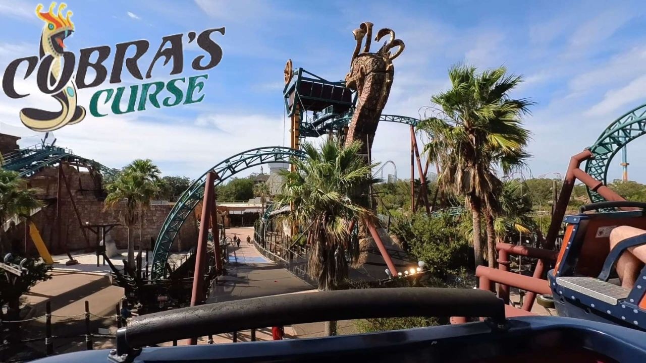 POV Cobra's Curse at Busch Gardens Tampa | Horizon+Stabilized