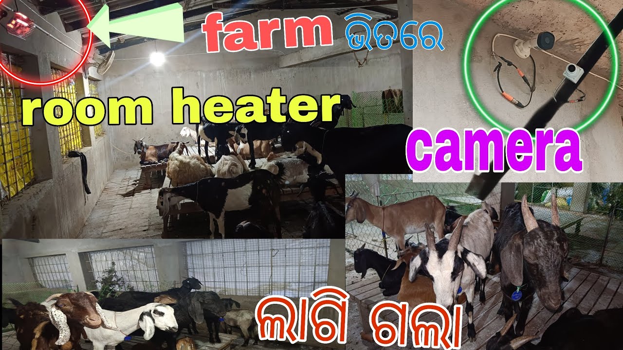 farm ଭିତରେ ଲାଗିଗଲା room heater camera #farming