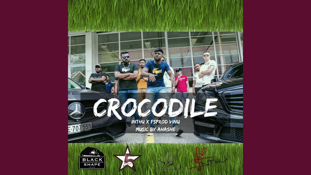 Crocodile