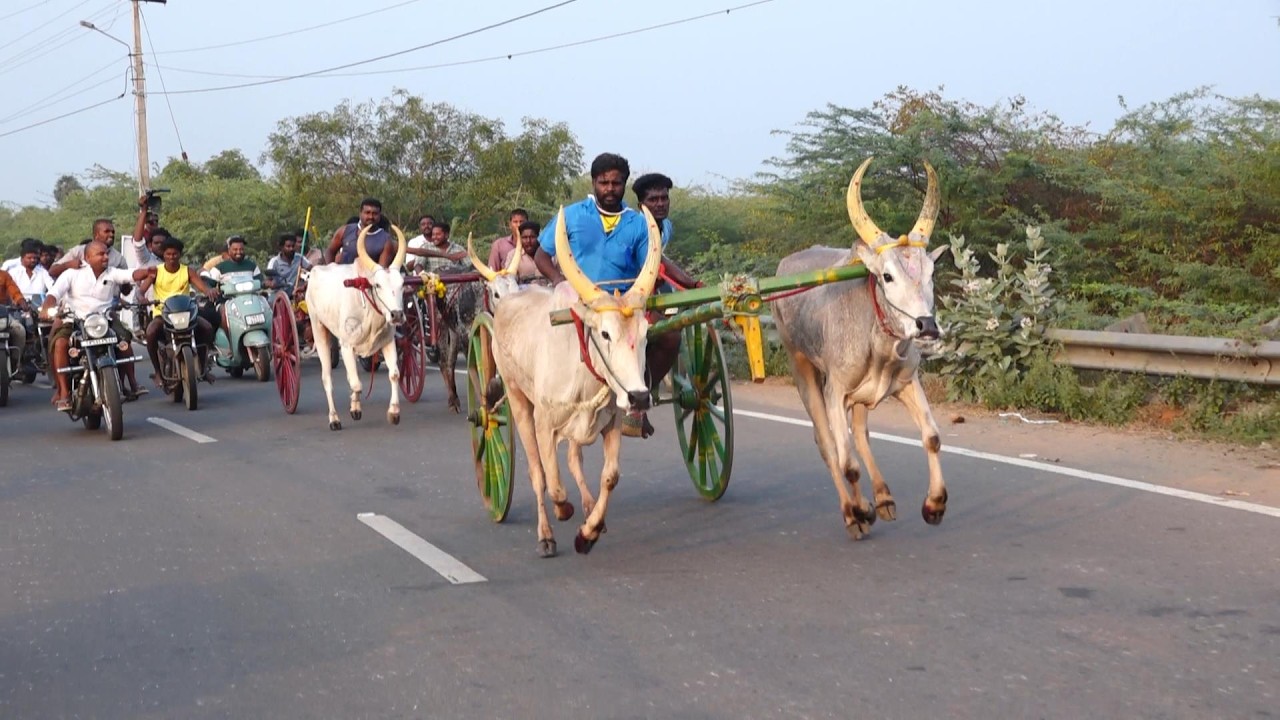 ETSS - கல்லல் பூஞ்சிட்டு முதல் சுற்று - 28/02/2026
