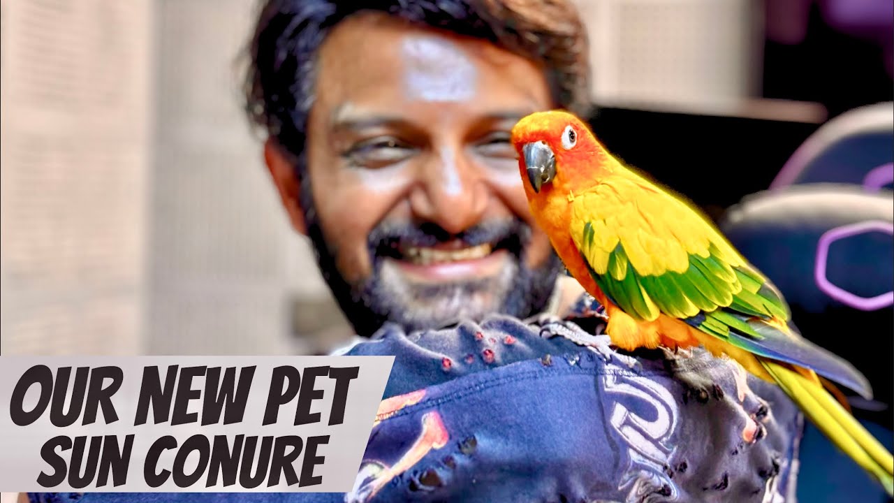 Our New Pet Can Dance - Welcome Kuki