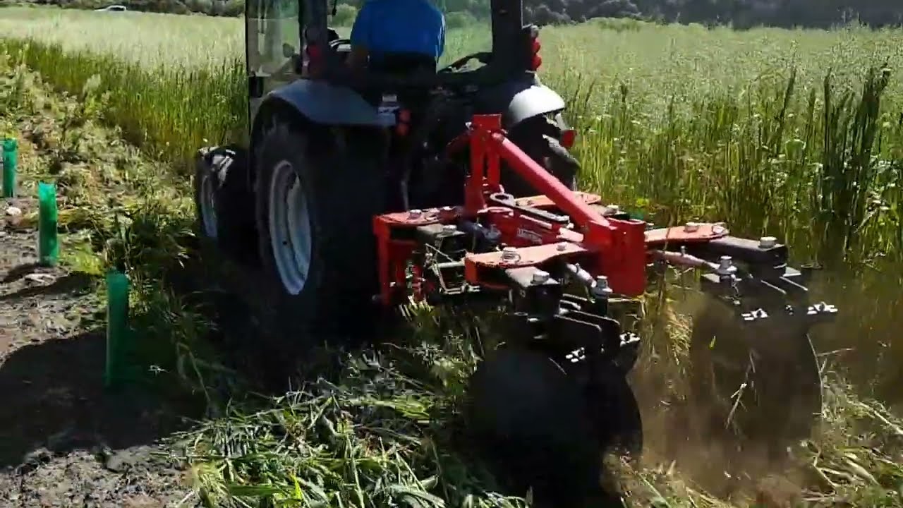 FarmChief PXVI Vineyard Discs