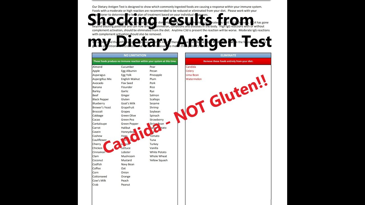 SHOCKING results from my Food Sensitivity Test - IgE IgG4 - Dunwoody Labs Dietary Antigen test