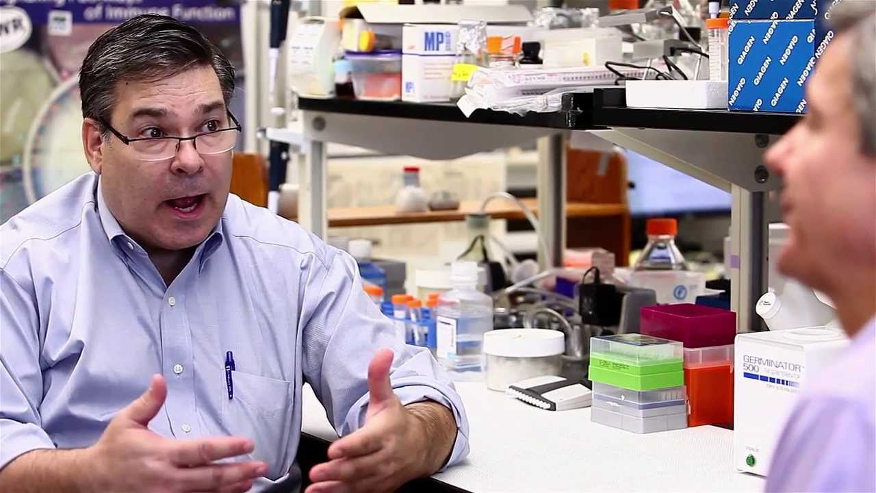 Benefits of Fibrocytes in Cancer Care