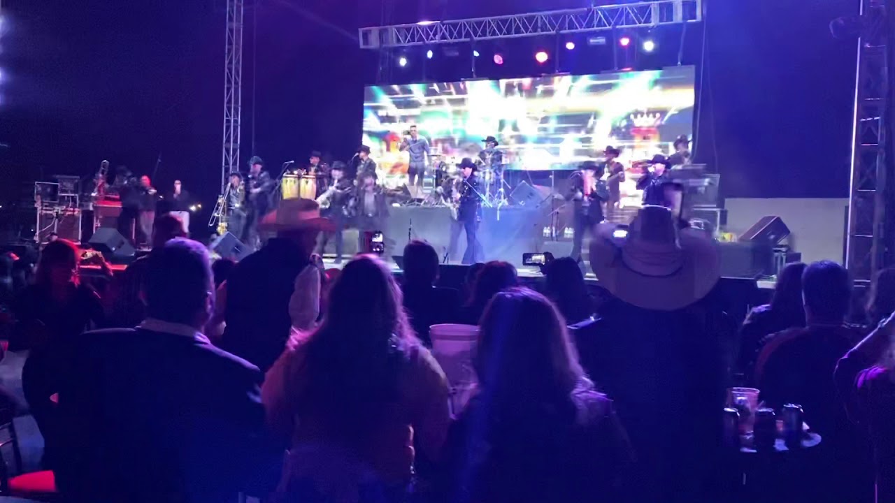 La Brissa Feria del Algodón  2019