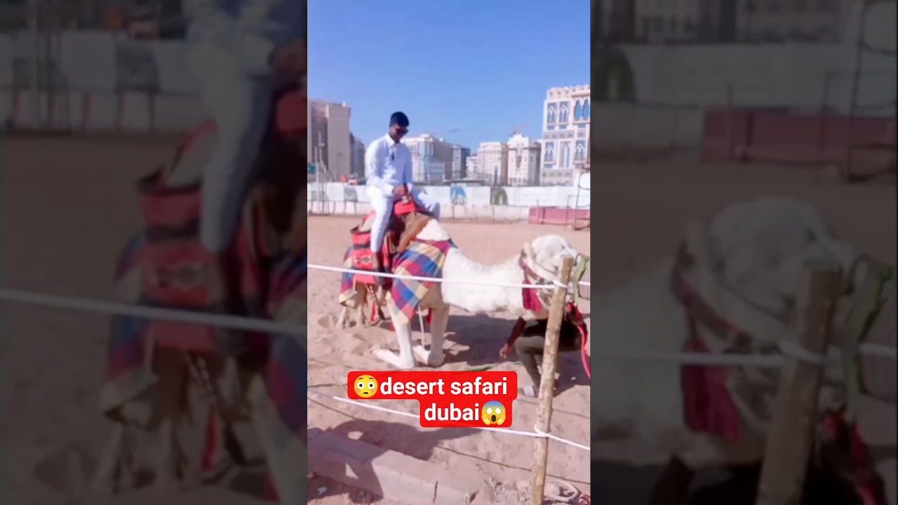 Emotions Reactions funny att the camel ride att the desert safari 😳 camp