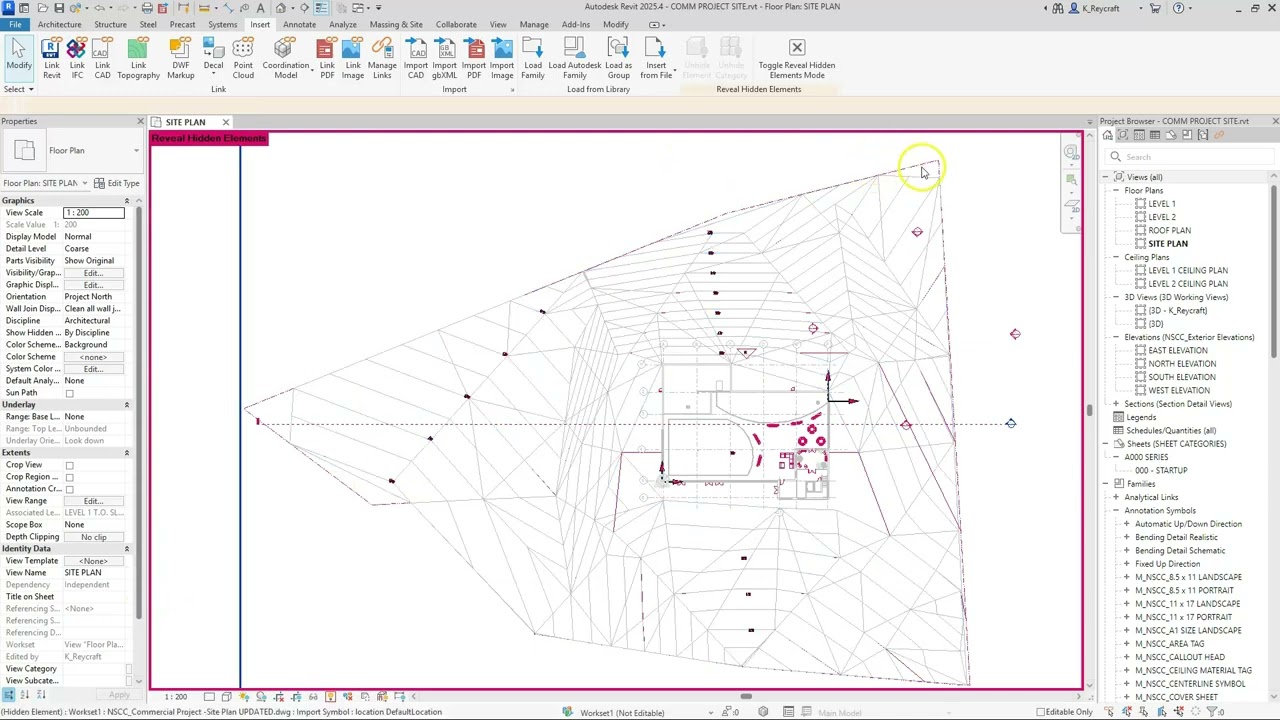 Linking the CAD Site Plan with Adjacent Site