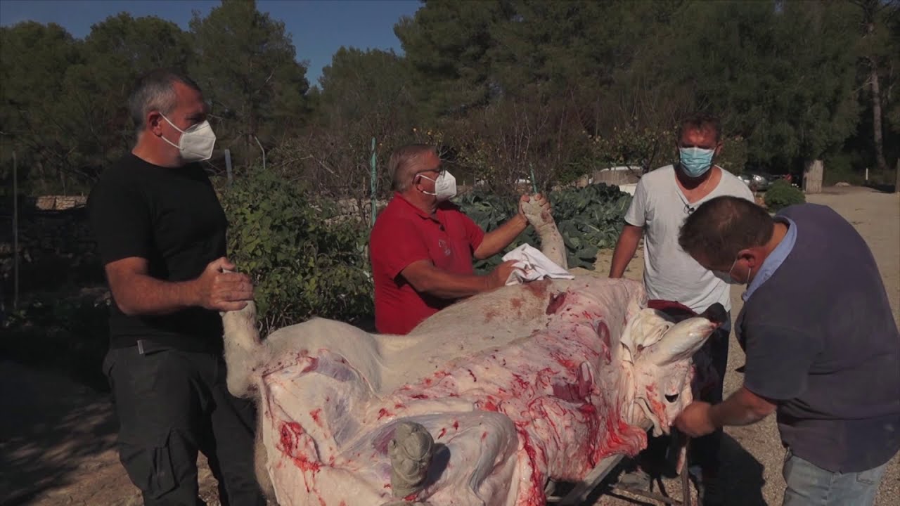 UEP! COM ANAM? [479] - IUCA CUBANA A SA POBLA, MATANCES COVID A LLORET I PADRÍ CENTENARI A LA VILA