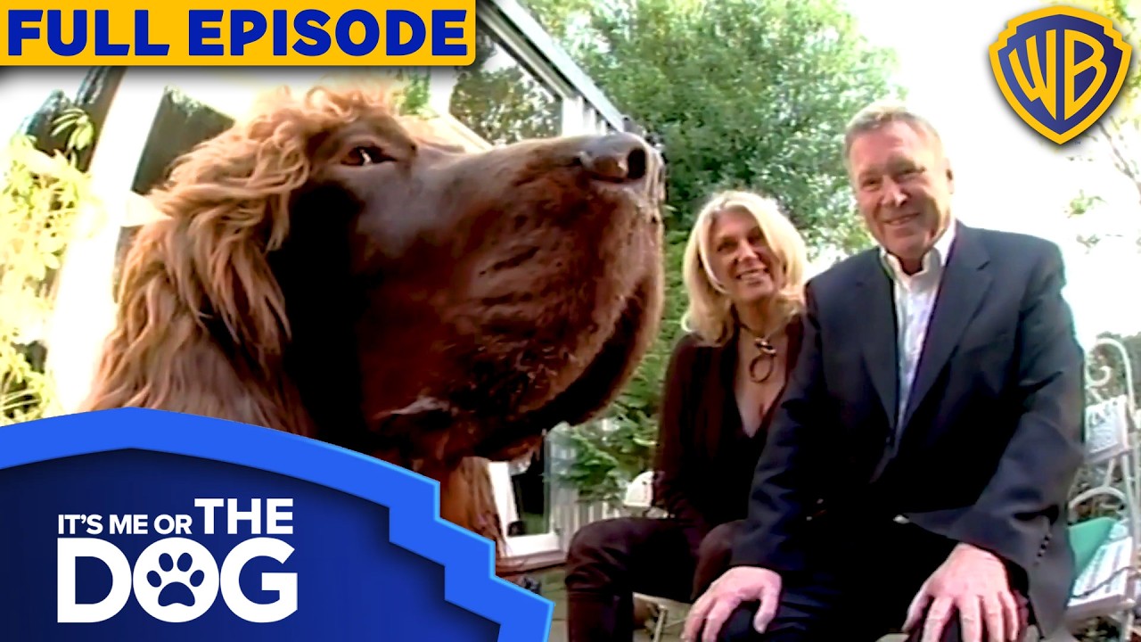 The Dog With OCD: Max | Season 2 Episode 5 | Full Episode | It's Me or The Dog