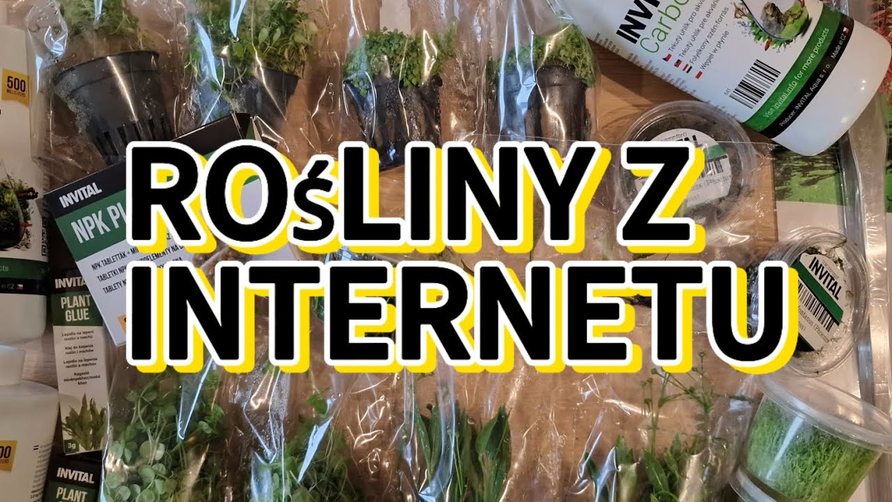 Zamówiłem rośliny przez internet!