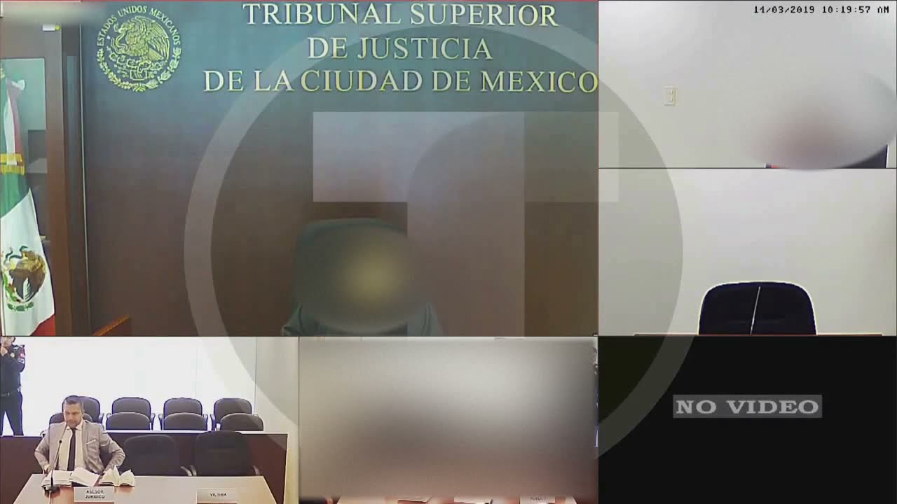 CASO FRAUDE, DESPOJO, FALSEDAD Y RESISTENCIA DE PARTICULARES. AUDIENCIA VS NO EJERCICIO DE LA AP.