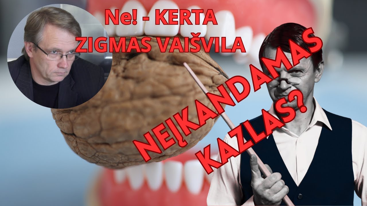 Vaišvila paaiškino, kodėl skaidruomenė pabūgo Rolando Kazlo