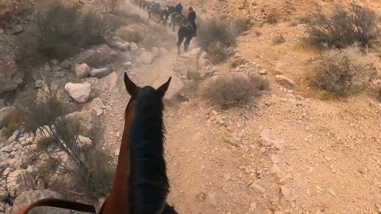 Cowboy Trail Ride in Red Rock Canyon Horseback Riding in October 2021