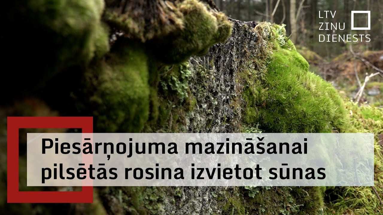 Pētnieki nāku&scaron;i klajā ar inovatīvu ieceri, kā uzlabot gaisa kvalitāti