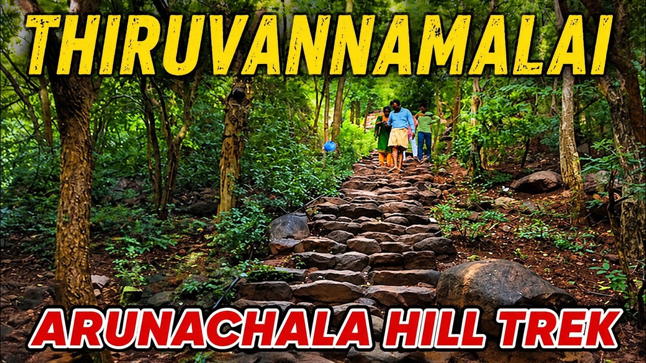 Thiruvannamalai Arunachala Hill 🏞️Trekking Full Tour | Virupaksha Cave | 360 view - Arunachaleswarar