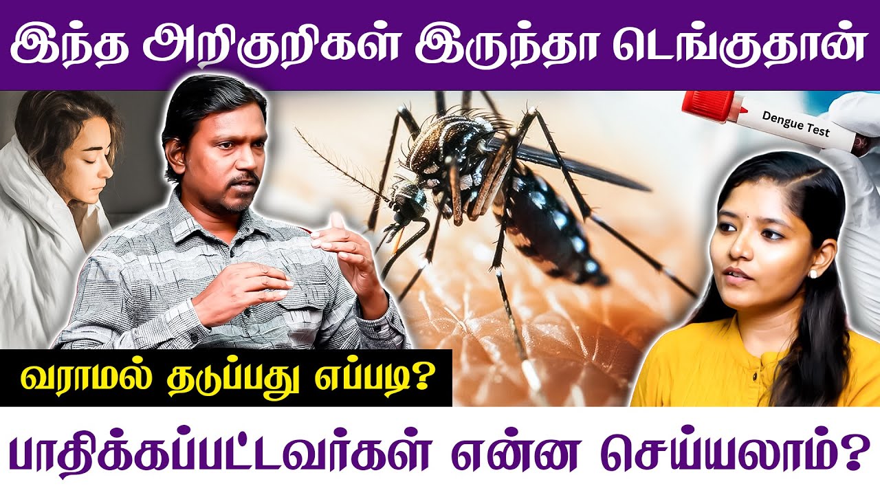 இந்த அறிகுறிகள் இருந்தா டெங்குதான் வராமல் தடுப்பது எப்படி ?பாதிக்கப்பட்டவர்கள் என்ன செய்யலாம்?