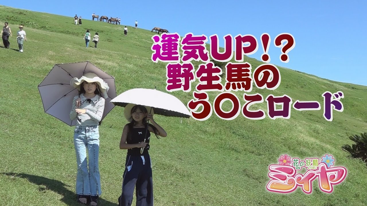 都井岬の野生馬たちとご対面♪ 花の妖精たちは、ジブリ映画のワンシーンのような景色の中を野生馬のフンを避けながら歩きます～【都井岬:ぶらり旅❽】