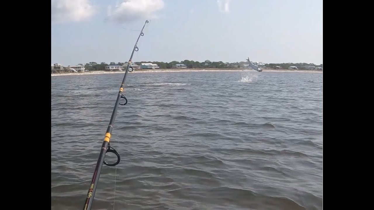 Tarpon Battle From Kayak