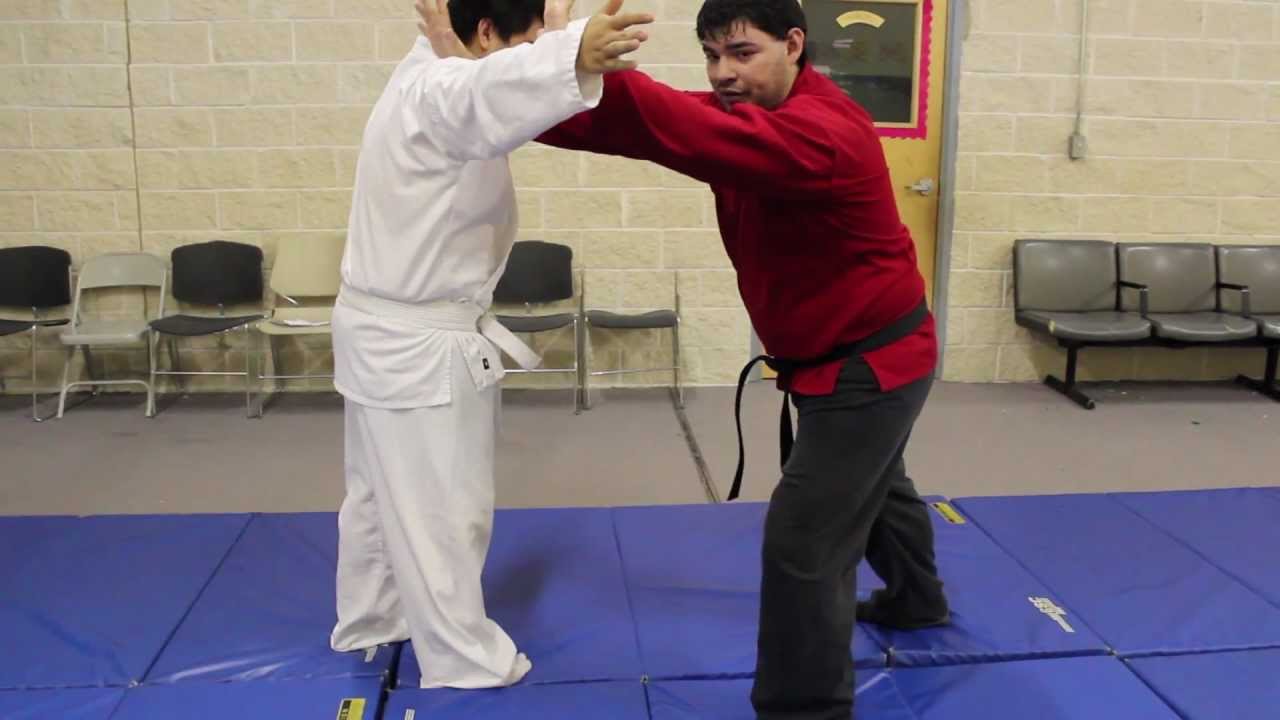 Self Defense Lessons by Master Vega