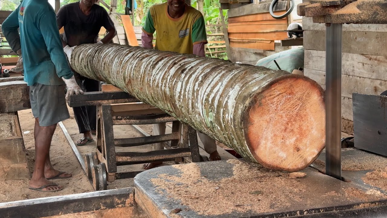How to Dry 5x7 Coconut Wood After Being Cut with a Sawmill?