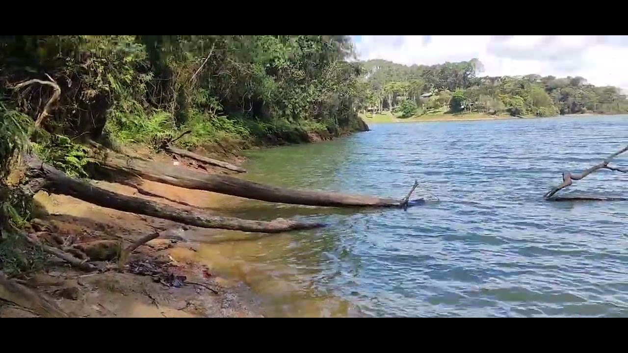 Represa Billings Batistini: natureza, ventanias e preparação de ceva.