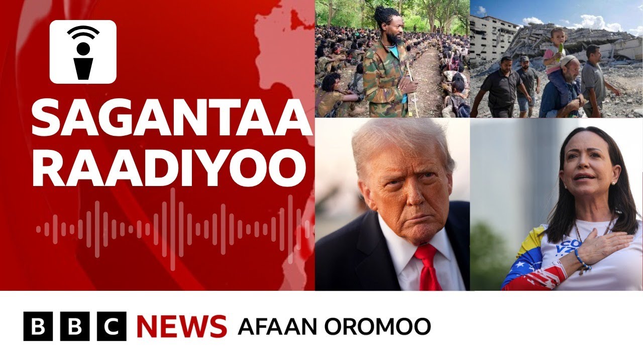 WBO gaaffii ulaa galaanaa Itoophiyaan kaasturratti ejjennoo akkamii qaba? |BBC News Afaan Oromoo