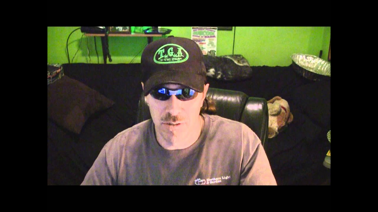 Morning Show #4