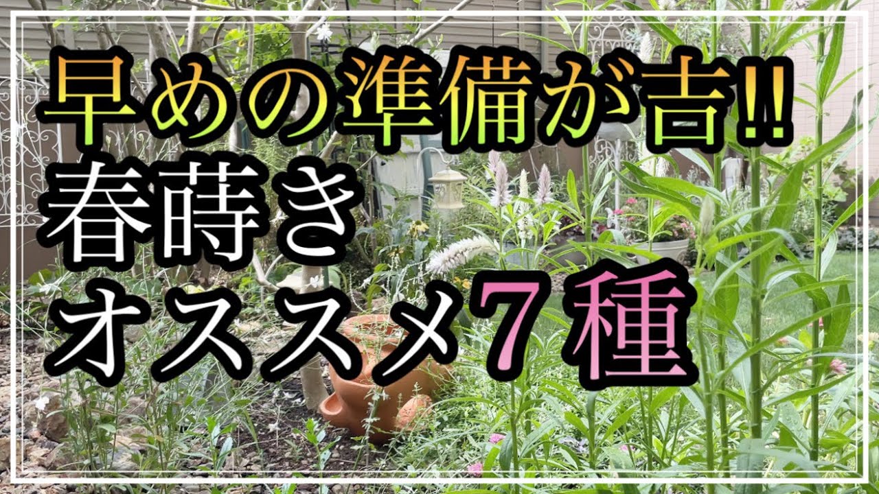 【ガーデニング】春蒔きオススメ品種７種/春蒔き初夏開花品種/ユリの植え付け/早春の花/初夏の開花品種/種まき/ガーデニングvlog/暮らしのvlog/ハナノカオリ