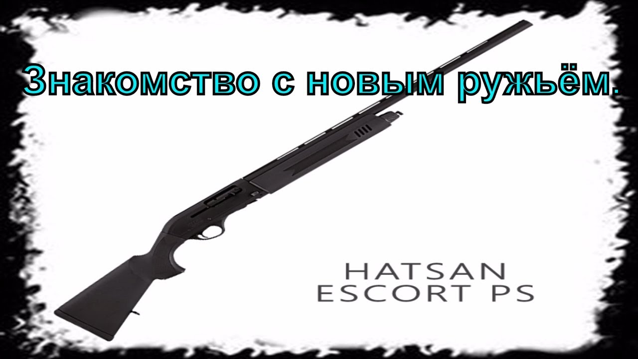 Знакомство с новым ружьём. Hatsan Escort PS 12х76.