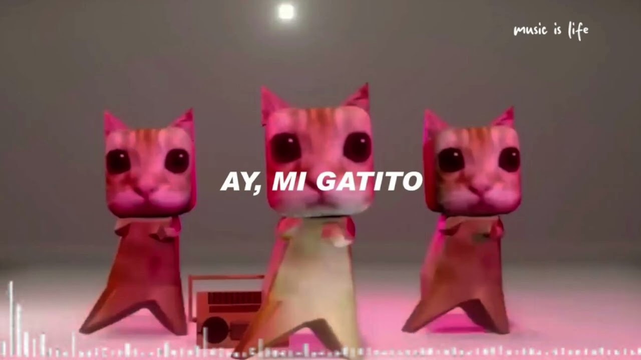 AY MI GATITON FUNK 
