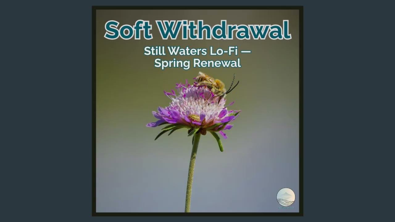 Soft Withdrawal - Still Waters Lo-Fi — Solo Piano for Quiet Focus