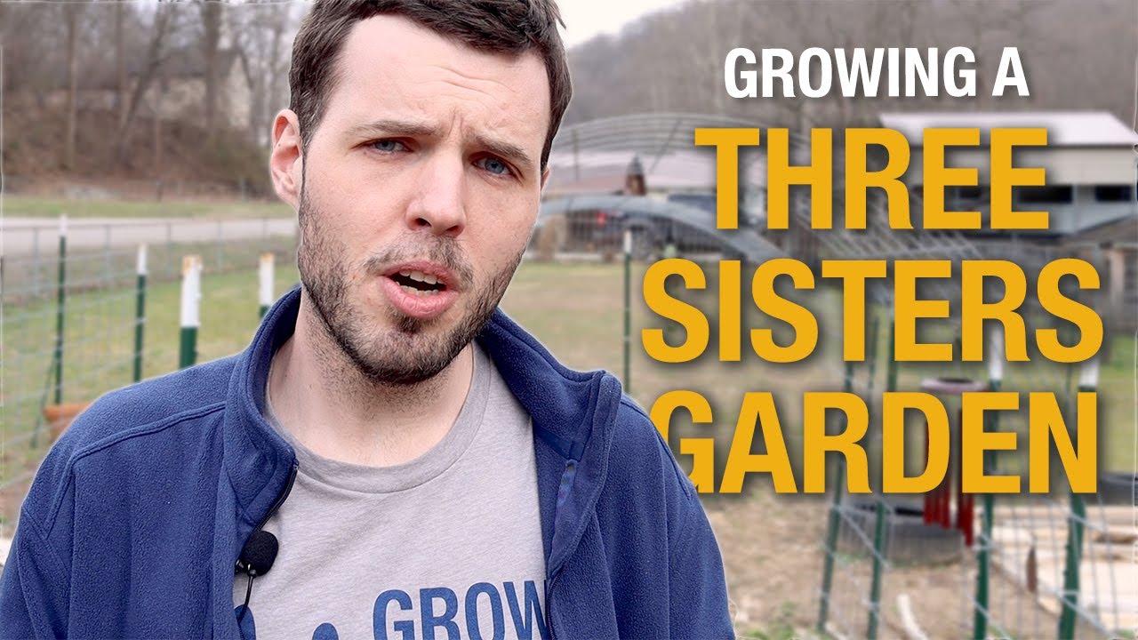 How to Plant a Three Sisters Garden
