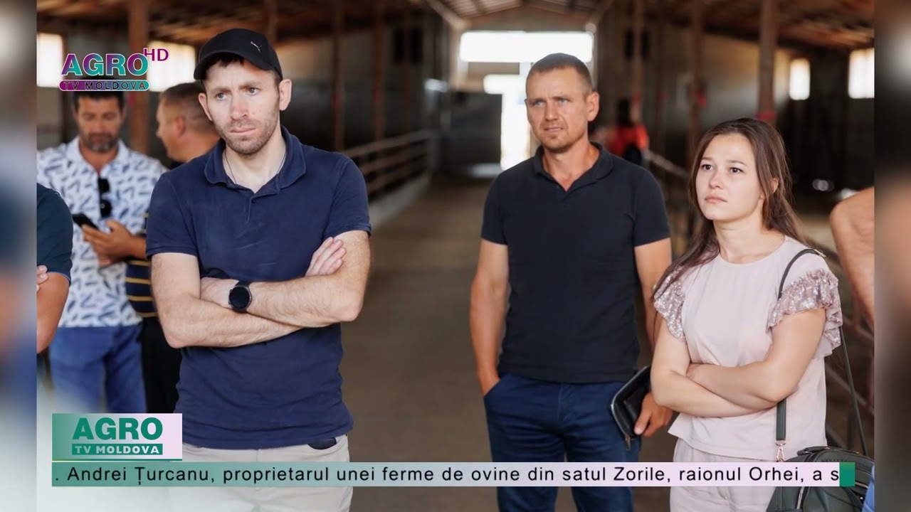Granturi pentru sectorul zootehnic. Ce probleme au fost abordate? &ndash; AGRO TV News