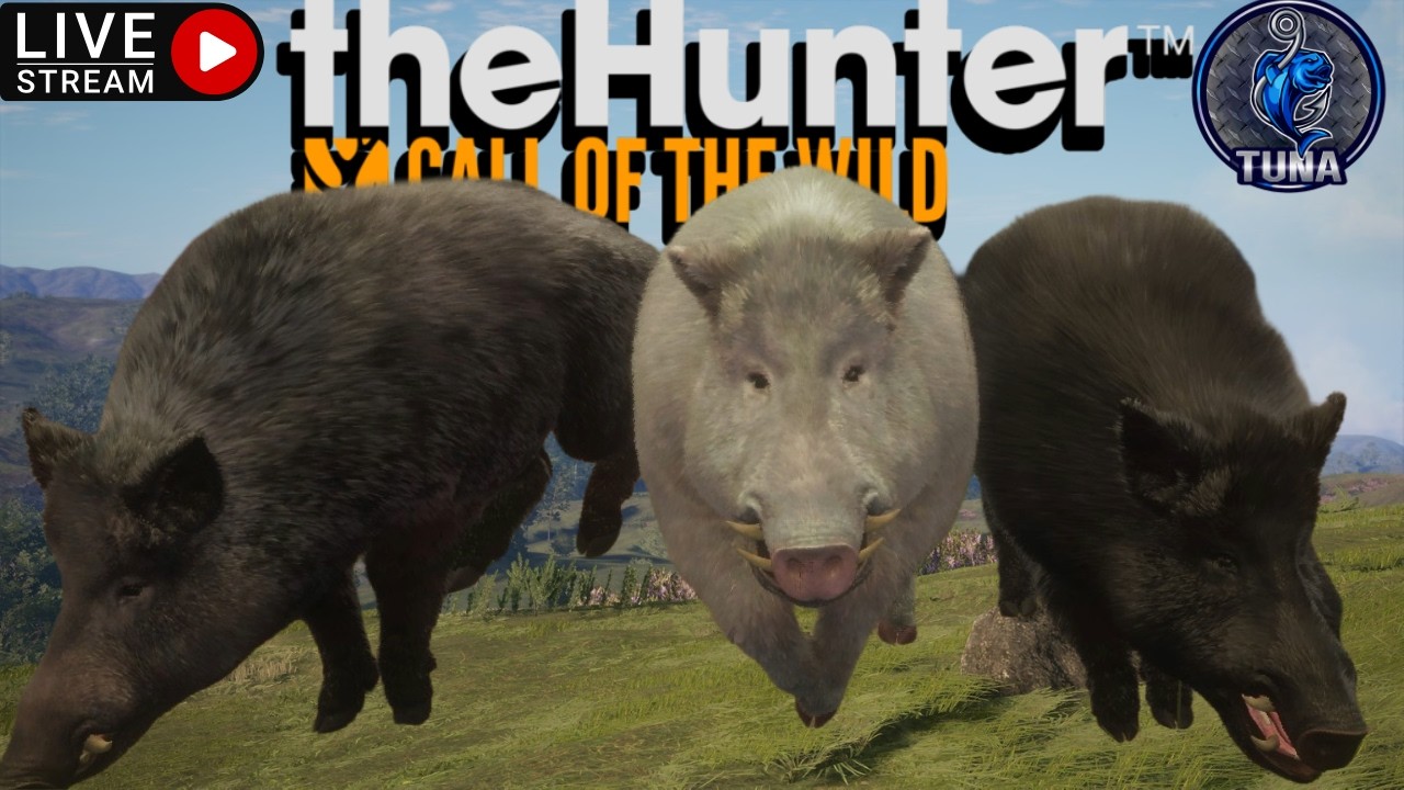 Going After The Boar Great One Again! 3149+ Kills In! TheHunter:Call Of The Wild [PORTRAIT]