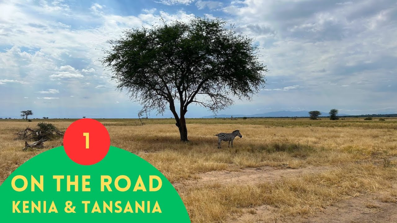 Kenia & Tansania 🐘 1 🐘 Von Nairobi bis zum Tarangire-Nationalpark