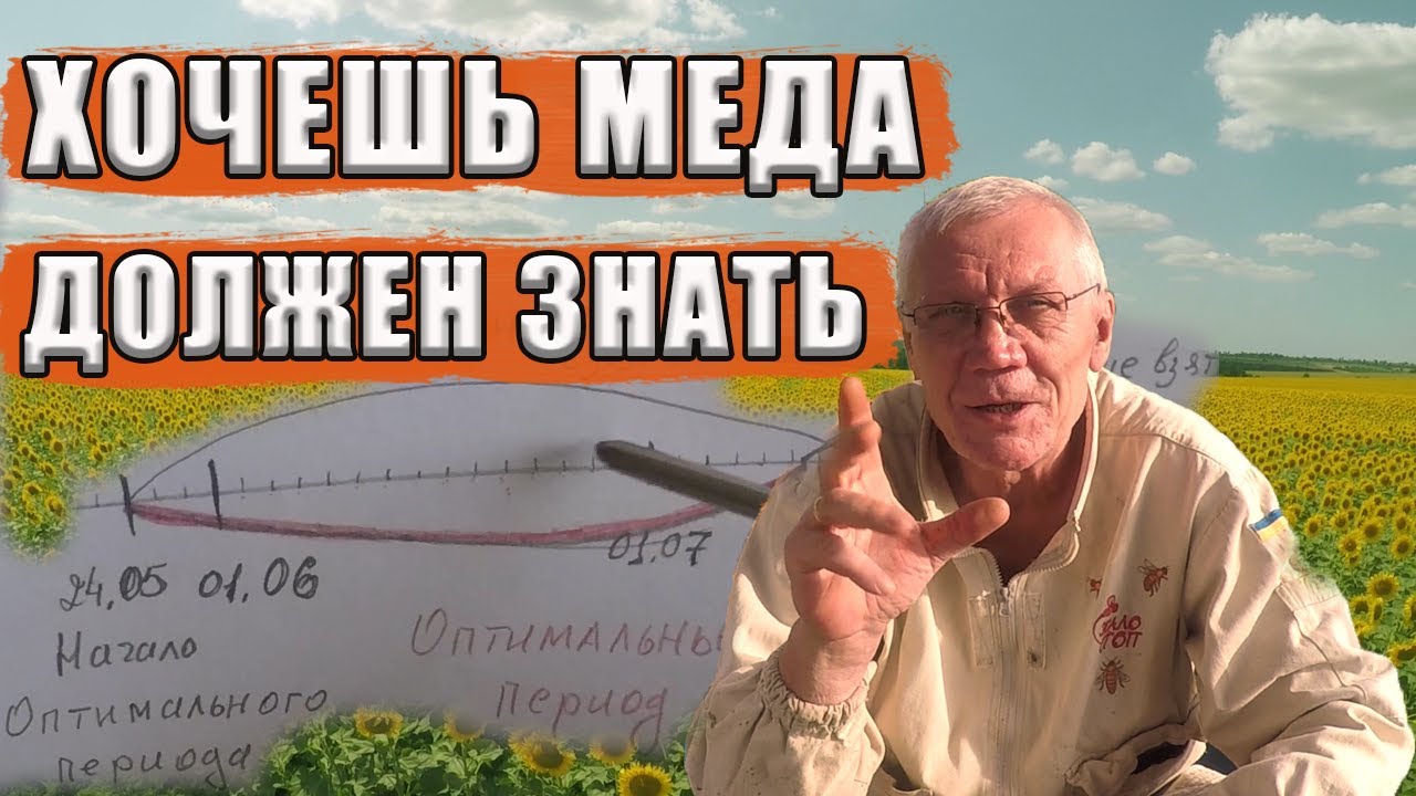 Как Определить оптимальный период развития пчелиных семей на главный взяток? Пчеловод обязан знать!