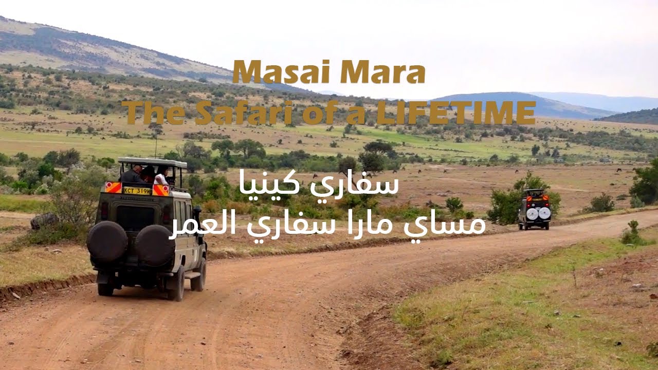 Masai Mara | The Safari of a LIFETIME! || سفاري كينيا مساي مارا سفاري العمر
