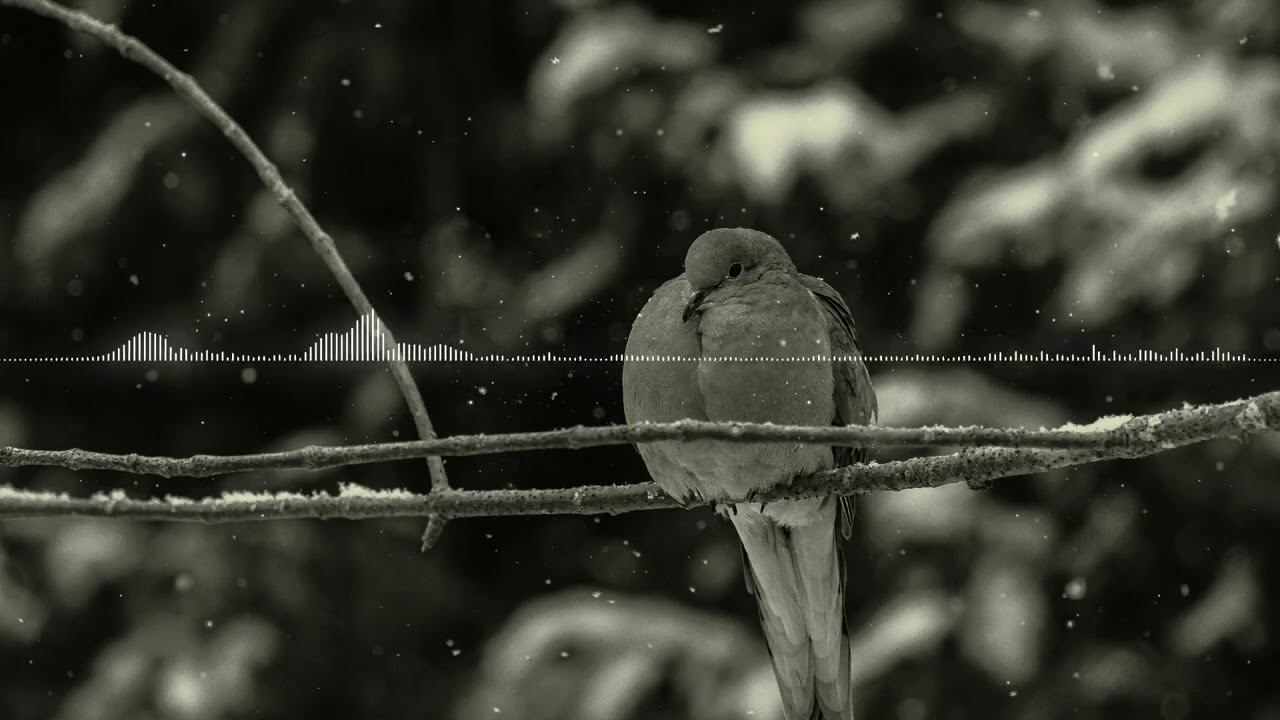 Kodály Zoltán (népdal) - A Csitári hegyek alatt (progressive deep house remix)