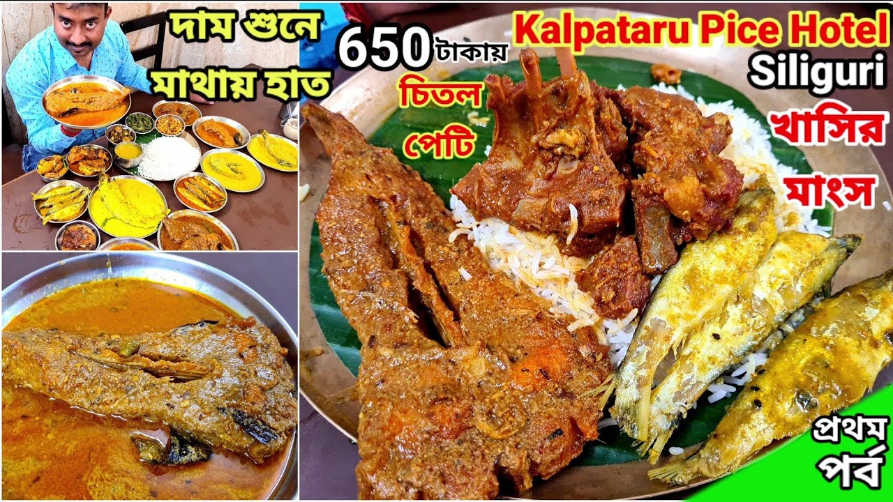 Siliguri Kalpataru Pice Hotel এ খাসির মাংস, চিতল মাছের পেটির দাম শুনে মাথা ঘুরে গেলো | 1st Ep