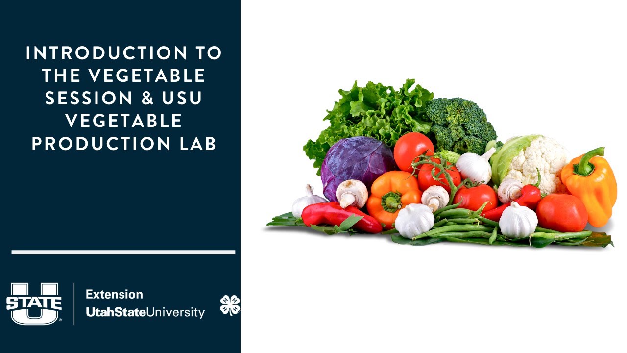 Introduction to the Vegetable Session and USU Vegetable Production Lab