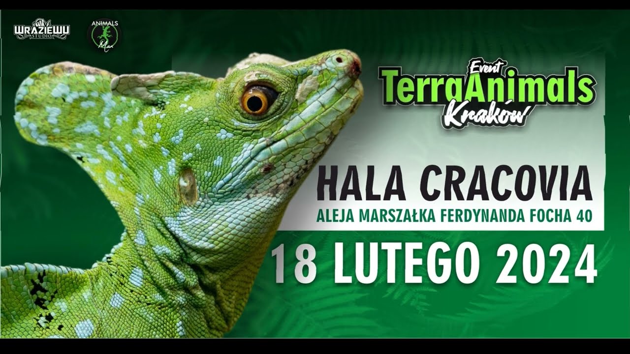 Giełda Terra Animals Kraków (18.02.2024) - relacja w 4K